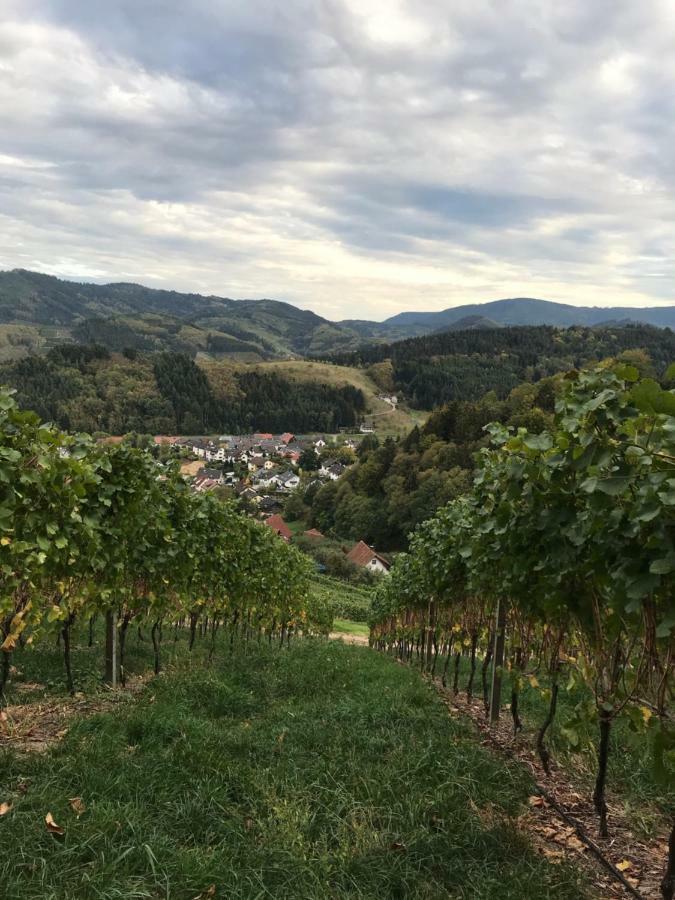 Ferienwohnung Hesselbach Oberkirch  Zewnętrze zdjęcie